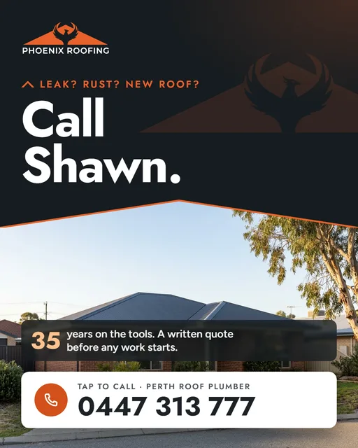 Phoenix Roofing ad: Leak? Rust? New roof? Call Shawn.